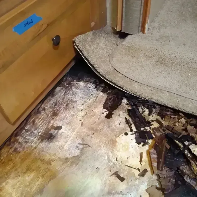 Wood Floor Water Damage in West Bradenton, FL